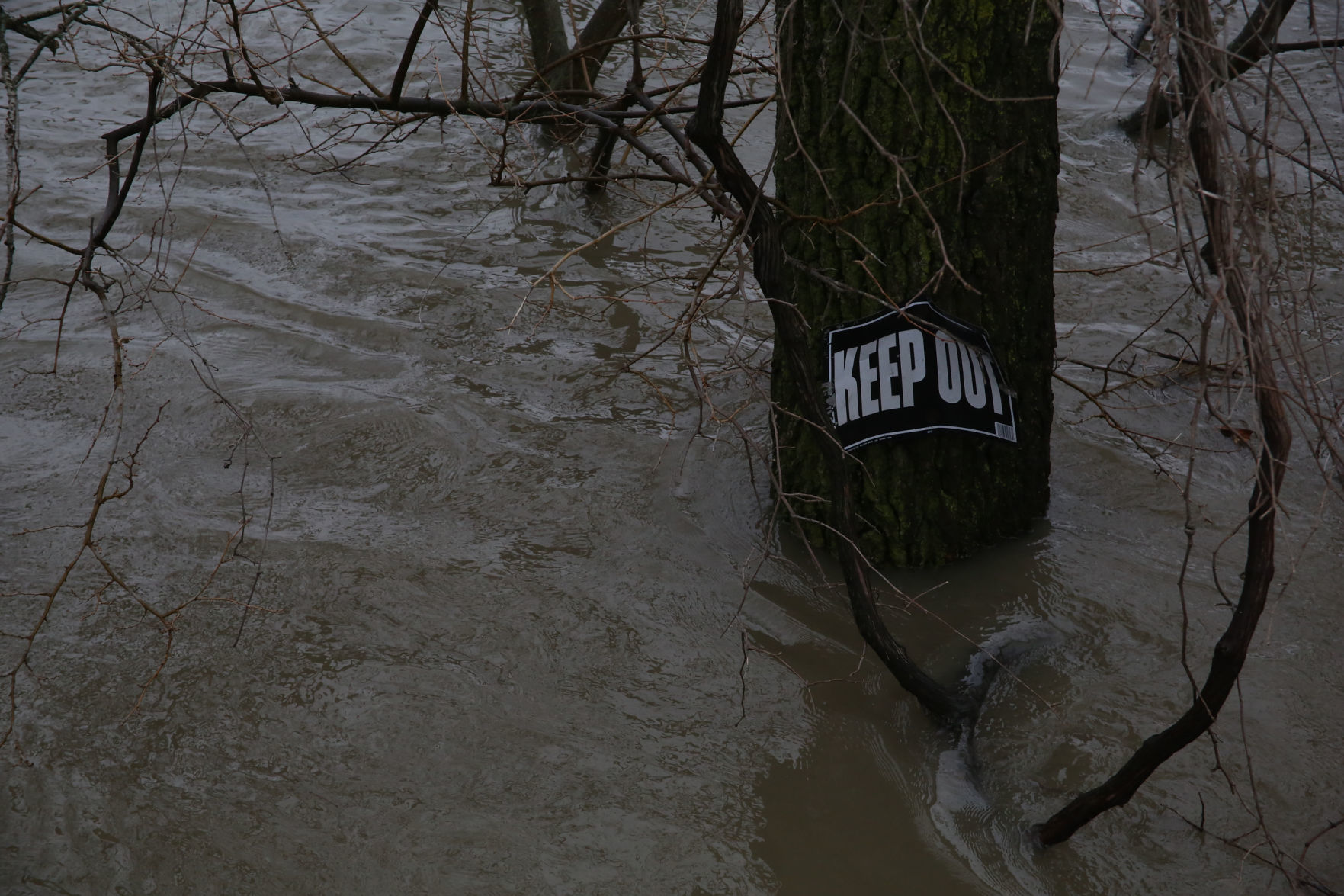Flood